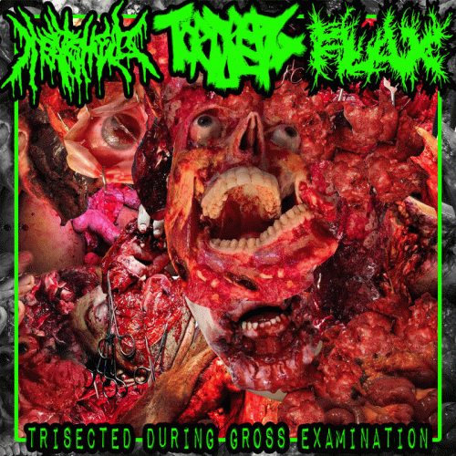 Torture Pig : Trisected During Gross Examination Torture Pig : Trisected During Gross Examination